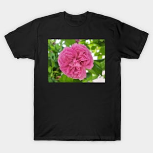 Pink Roses T-Shirt